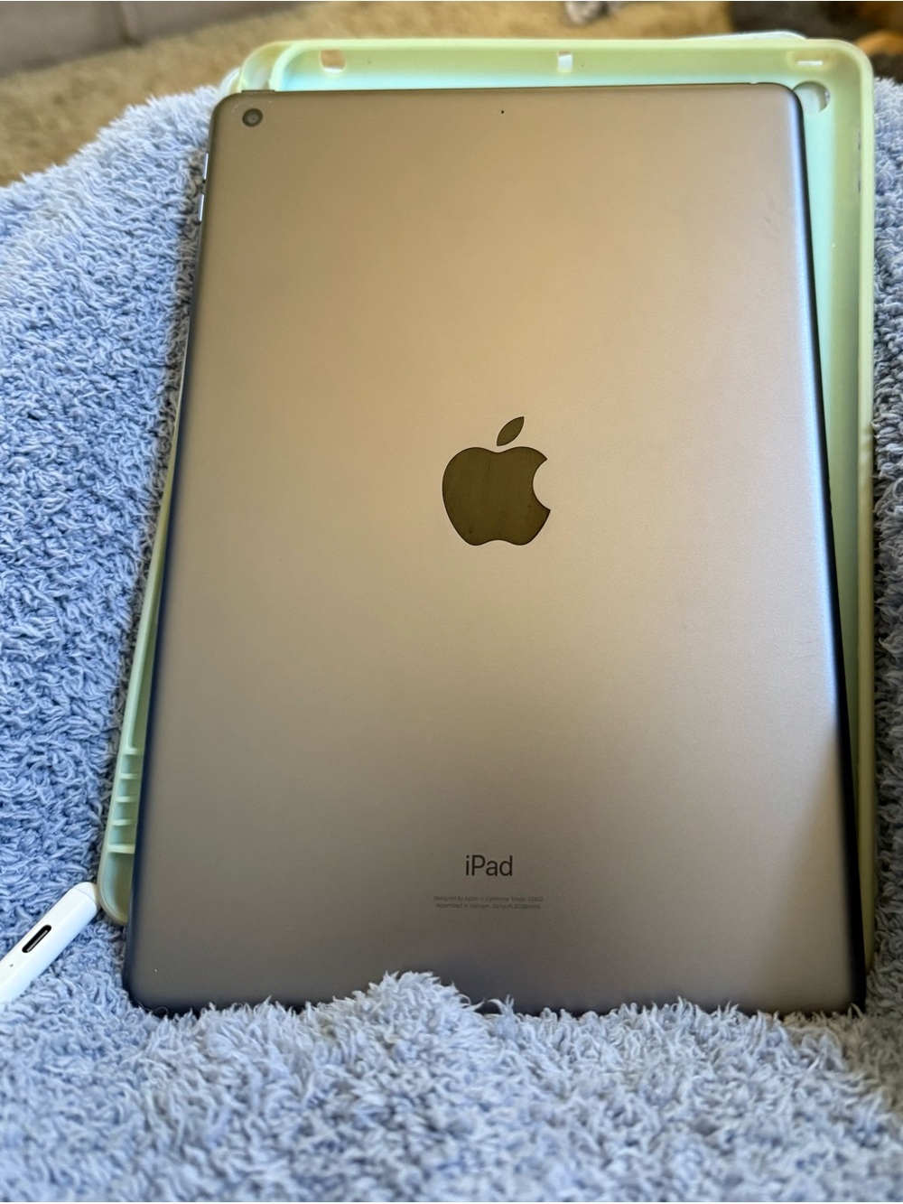 9th Gen Apple iPad — Metallic Gray Back with Black Apple logo